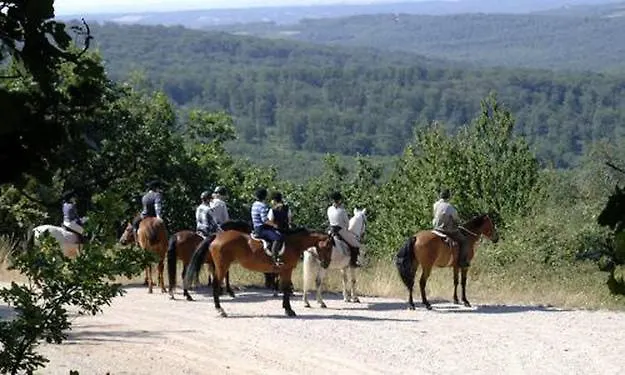 D'hotes Auberg'inn Ambialet