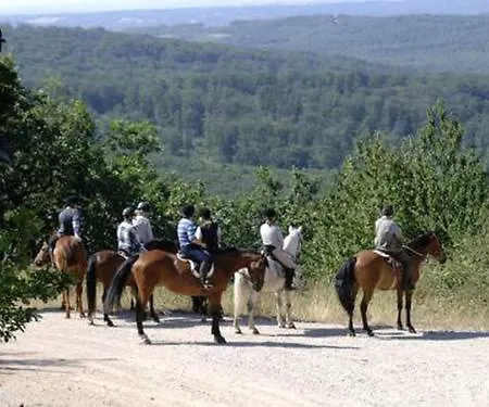 D'hotes Auberg'inn Ambialet